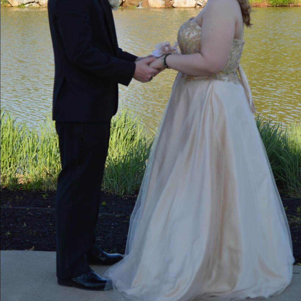 David’s bridal prom dress